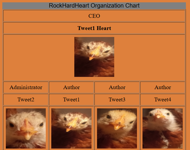 Organization Chart